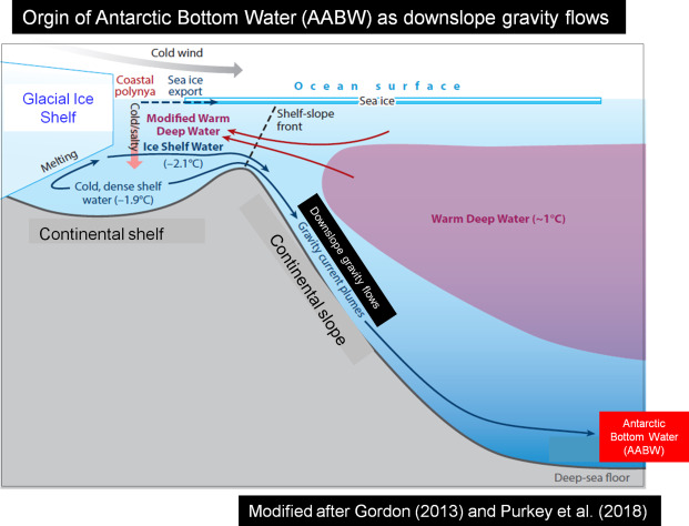 Diagram illustrating the origin of Antarctic Bottom Water (AABW) through downslope gravity flows from glacial melt and shelf water dynamics.