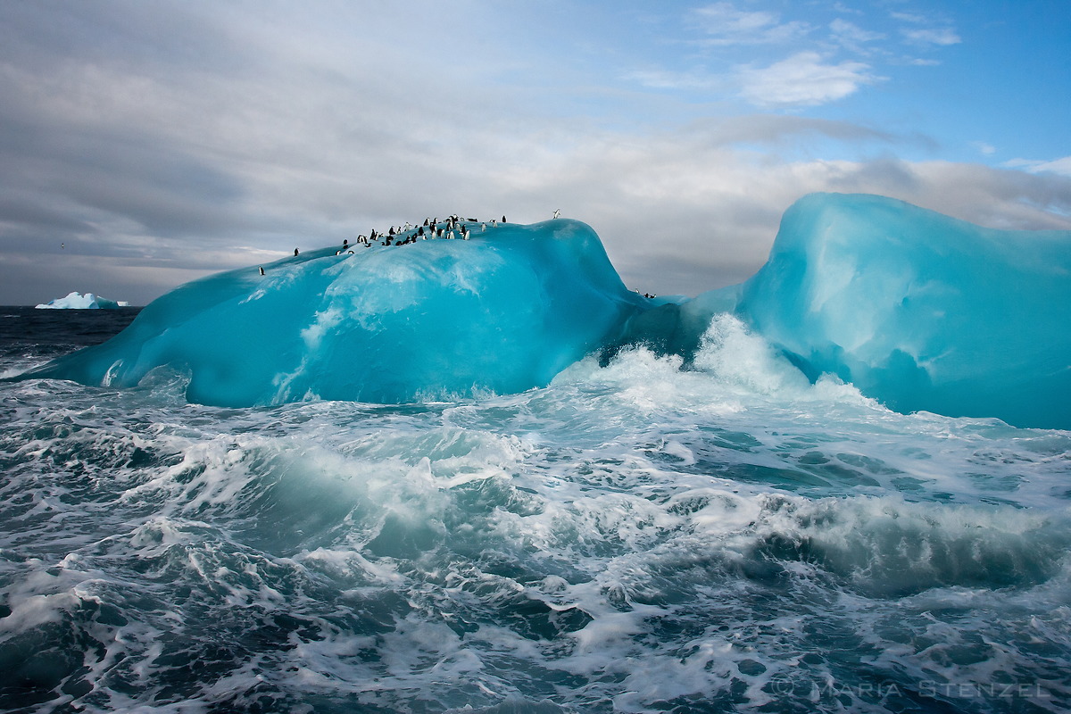 A group of penguins stands atop a large, bright blue iceberg with crashing waves below, under a cloudy sky in Antarctica
