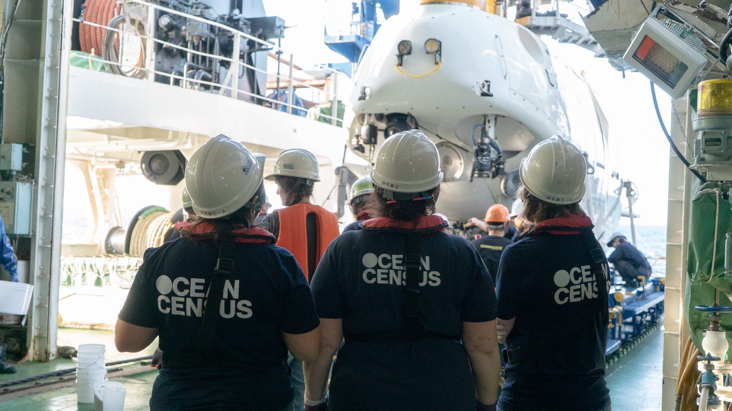 dive site, Shichiyo Seamounts, and deep-sea expedition.