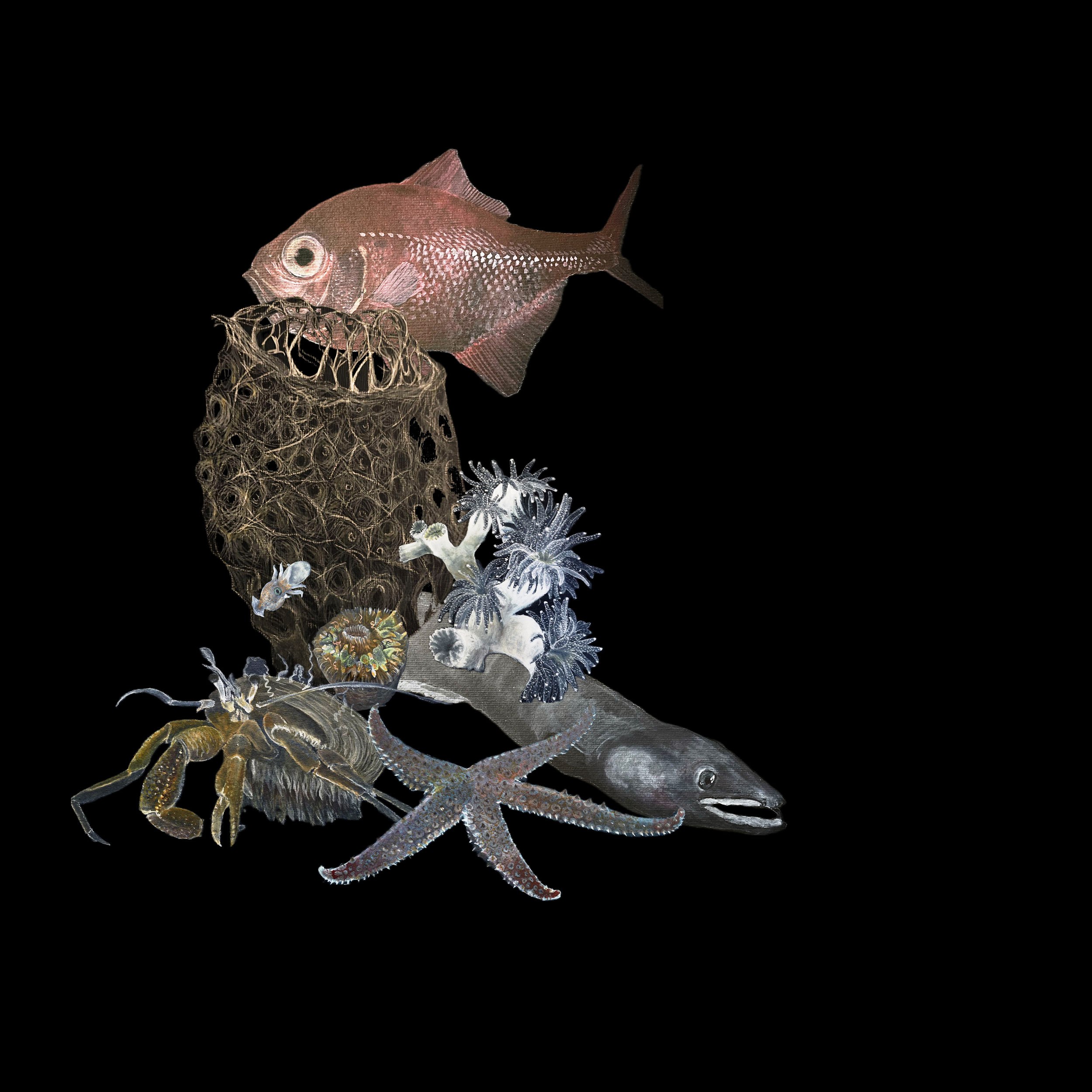 Acrylic illustration of deep sea animals